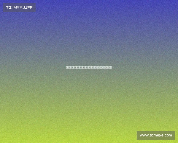 拜仁与斯图加特达成一致暂停沃尔特马德转会谈判并重新评估后续计划