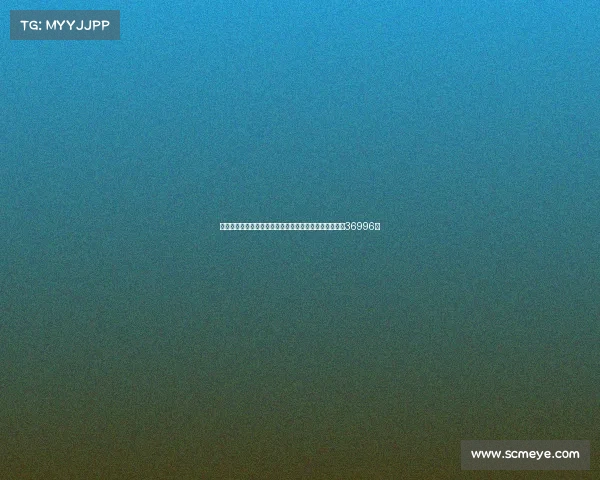 浙江队迎战申花创造队史中超主场观众新纪录上座人数达36996人 浙江队迎战申花创造队史中超主场观众新纪录上座人数达36996人