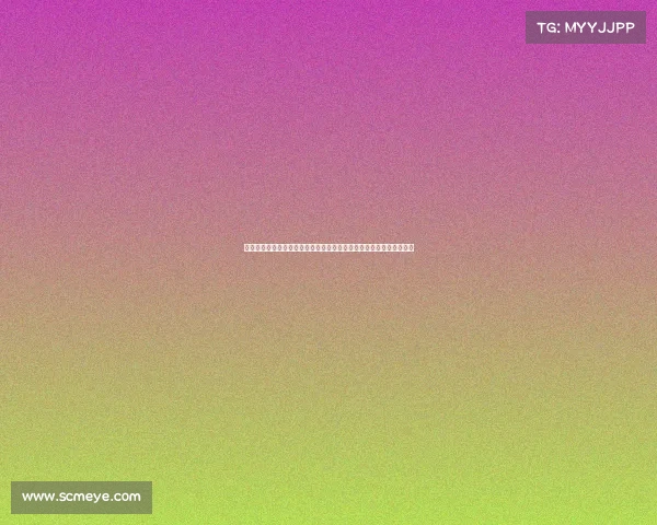 拜仁与斯图加特达成一致暂停沃尔特马德转会谈判并重新评估后续计划