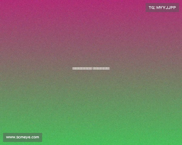 维塔尔：上海是我最爱的城市 在海港踢球让我感到安心