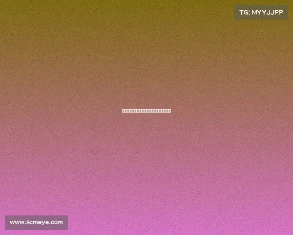 荷兰队成功卫冕世界冰上帆船锦标赛再创辉煌