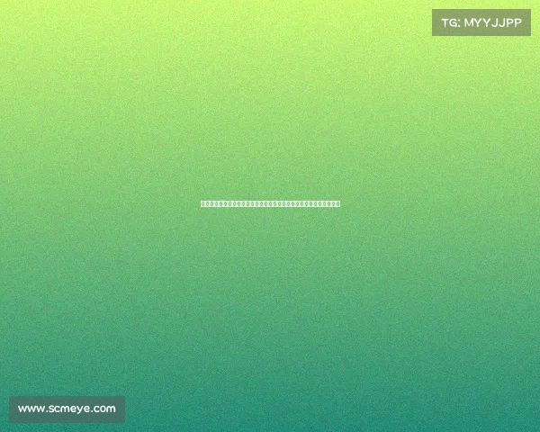 拜仁与斯图加特达成一致暂停沃尔特马德转会谈判并重新评估后续计划