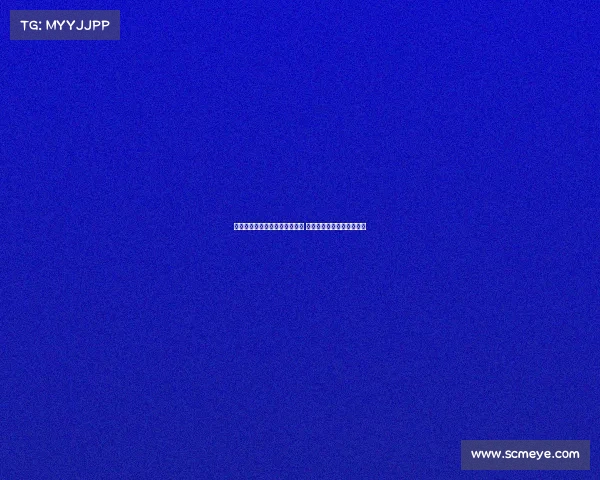 维尔纳随队前往法国参加热身赛 多名潜在离队球员一同出征